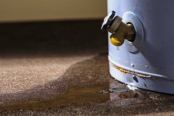 Best Water damage cleanup near me  in Richland, MS