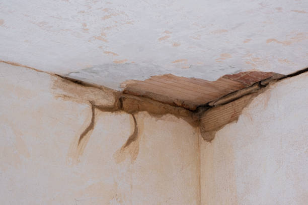 Best Water damage restoration near me  in Richland, MS