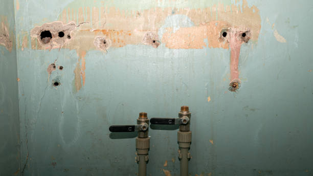 Best Water damage restoration near me  in Richland, MS