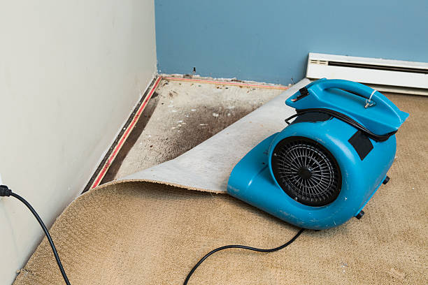 Water damage restoration mold remediation in Richland, MS
